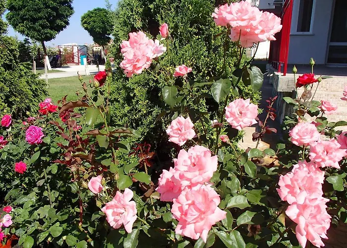 Grand Noks 公寓 圣弗拉斯