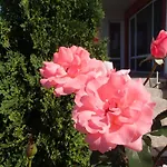 Grand Noks Apartament *